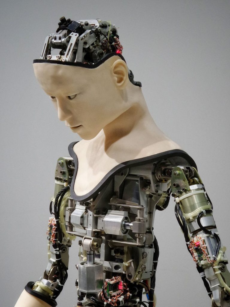 A humanoid robot - are we as real